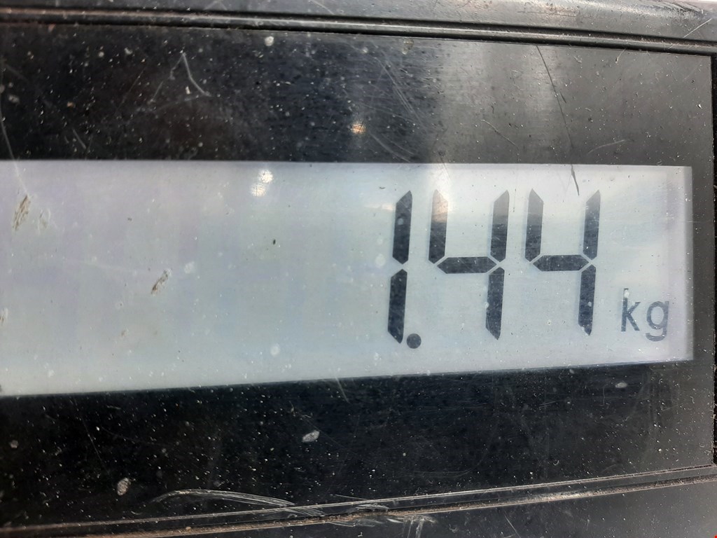 Амортизатор задний правый FORD Focus I 1998-2005