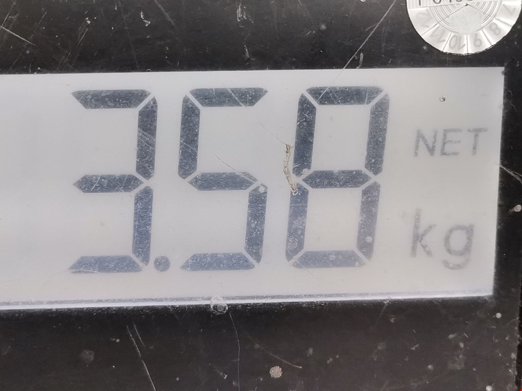 Амортизатор задний правый RENAULT Megane II 2002-2009