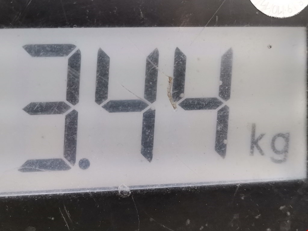 Суппорт задний правый SEAT Alhambra 1996-2010