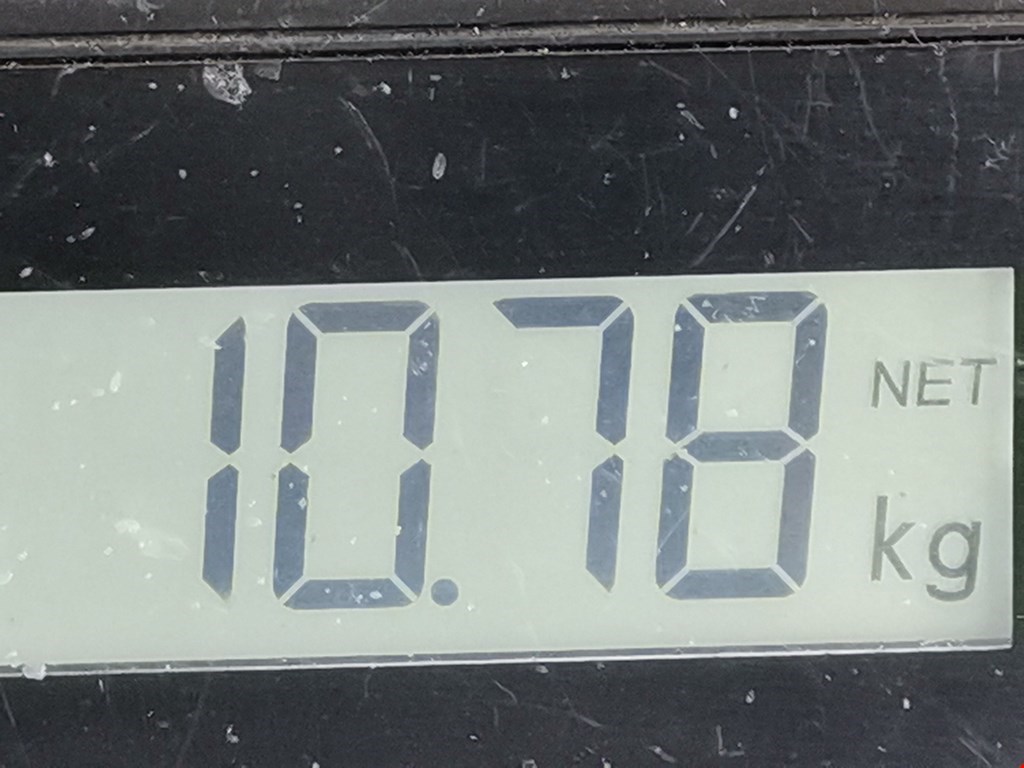 Амортизатор передний левый MITSUBISHI Galant VIII 1996-2006