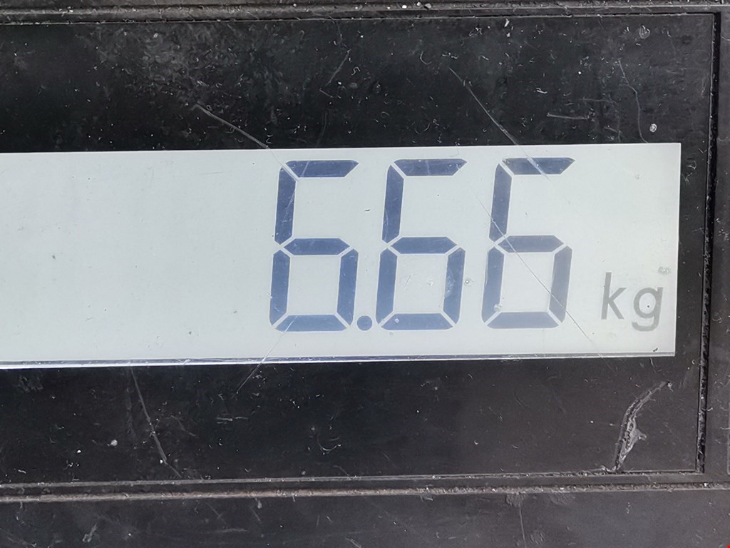 Пружина задняя левая/правая TOYOTA ProAce 2013-2016