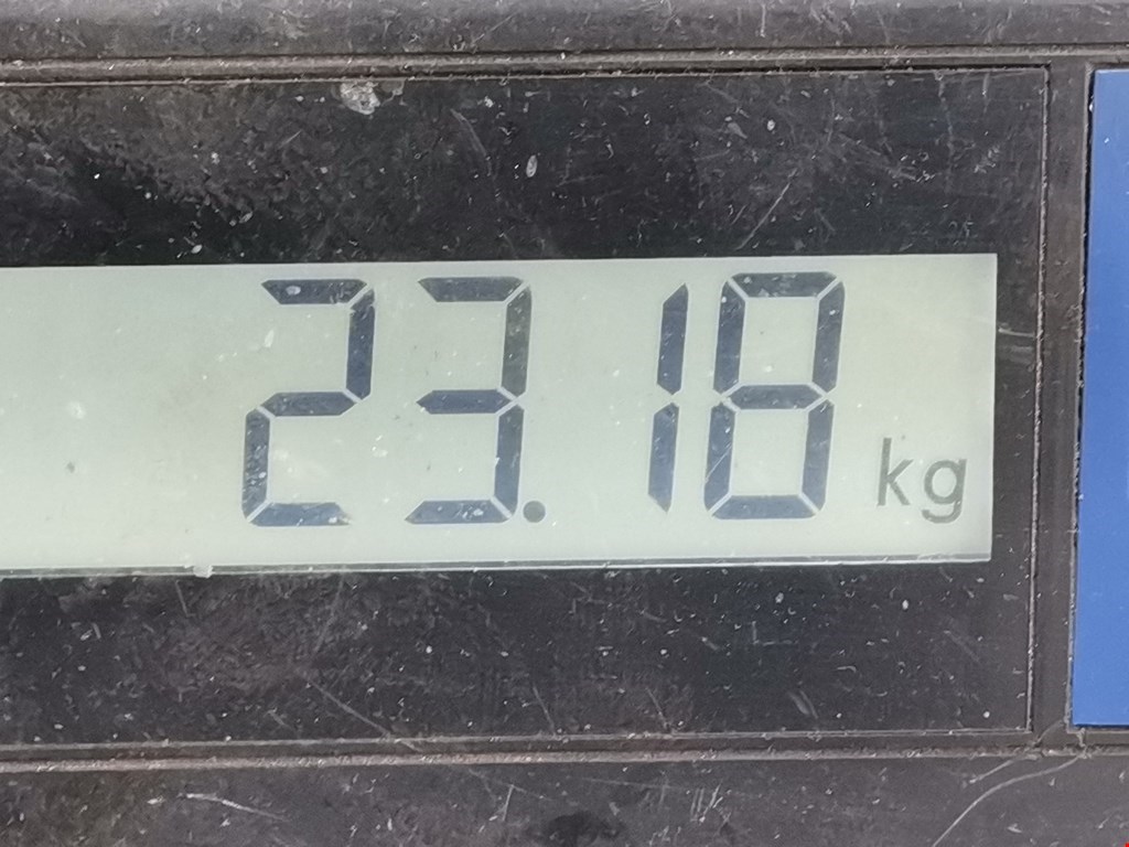 Амортизатор передний левый TOYOTA ProAce 2013-2016