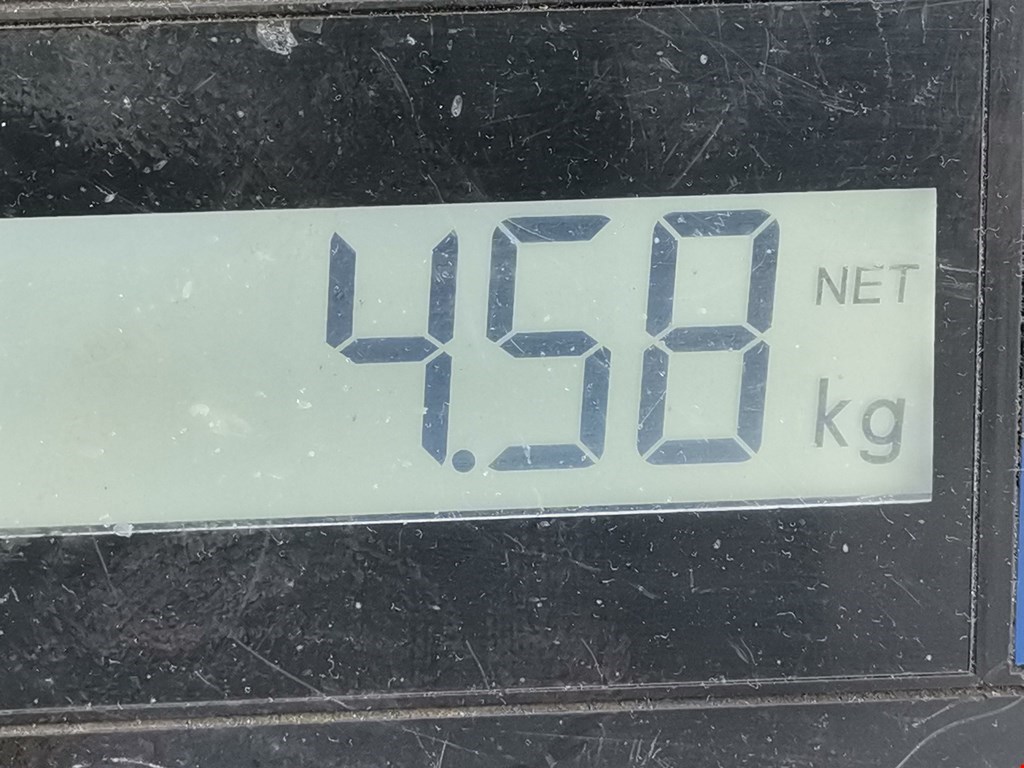 Амортизатор задний левый TOYOTA Avensis 2009-2015