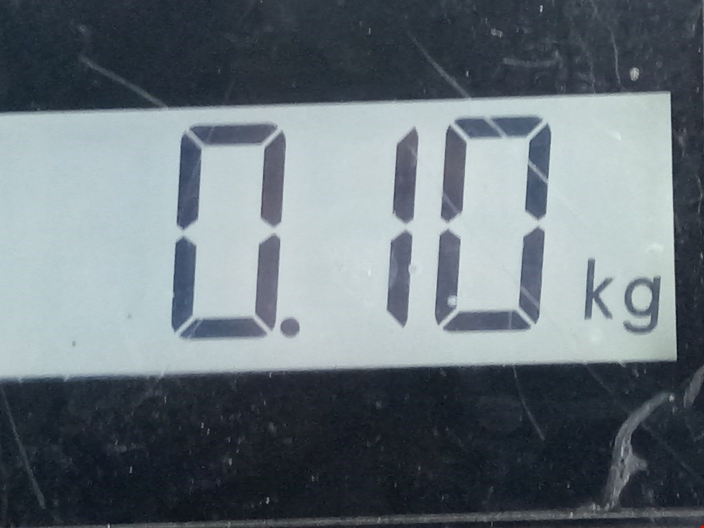 Плафон салонный (салона фонарь) MAN TGL 2005-н.в.