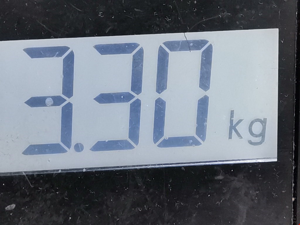 Пружина задняя левая/правая VOLKSWAGEN Bora 1998-2005