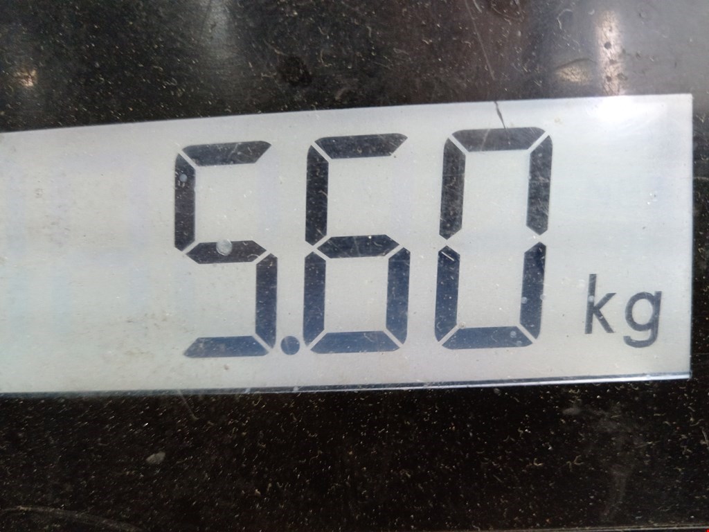 Ступица передняя левая/правая FORD Transit 2000-2006