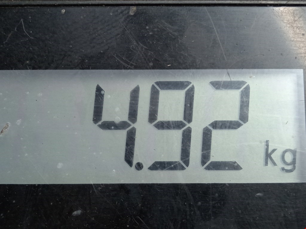 Коллектор впускной AUDI A3 8L 1996-2003