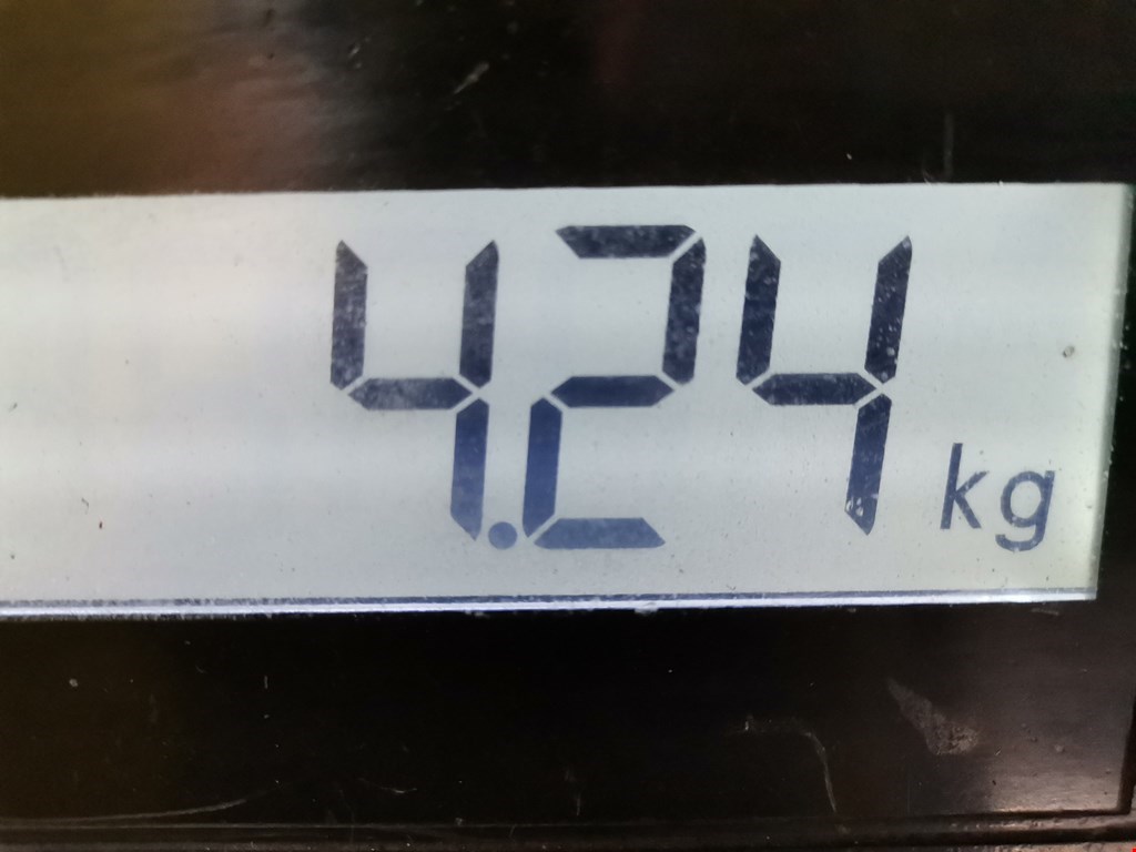 Коллектор выпускной FIAT Ducato 230 1993-2006