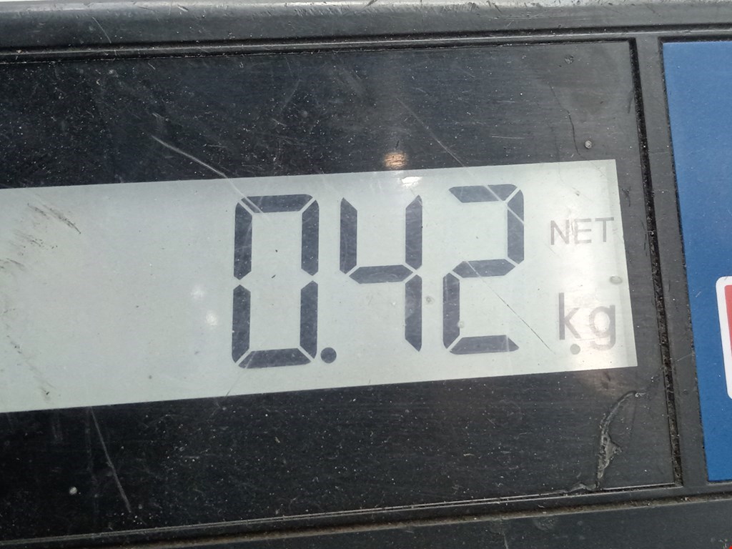 Бачок омывателя FORD KA 2009-2016