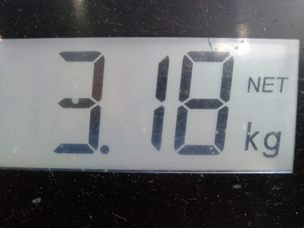 Ступица задняя левая MERCEDES-BENZ A-Class W169 2004-2012