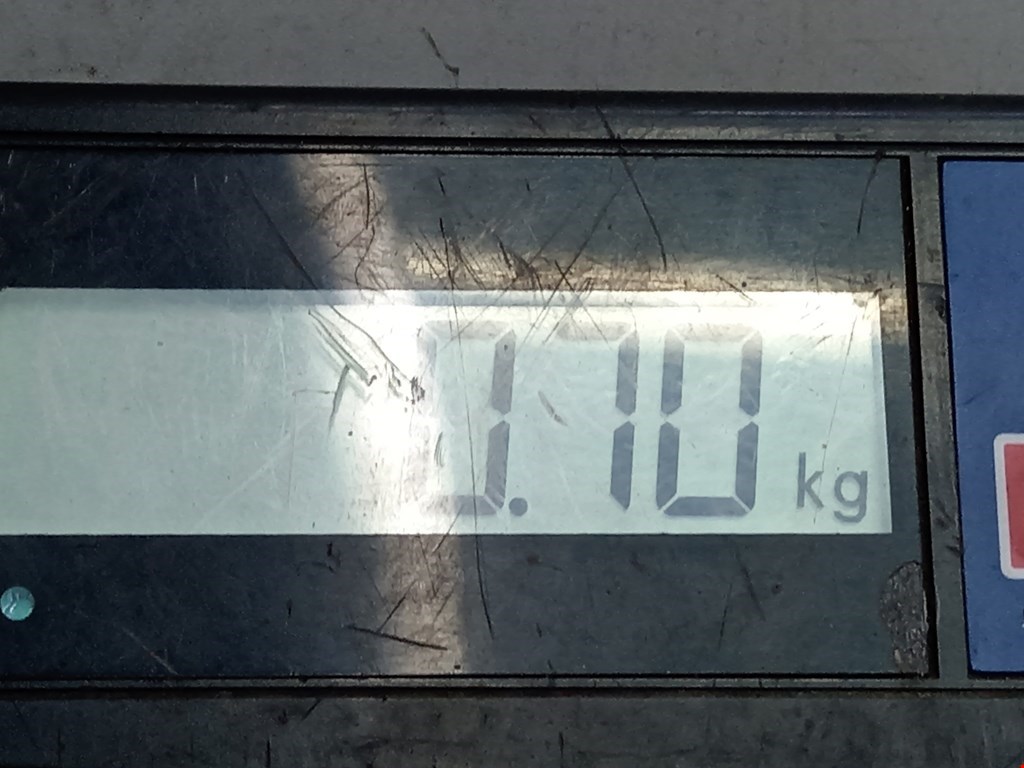 Локер (подкрылок) передний левый AUDI A3 8L 1996-2003