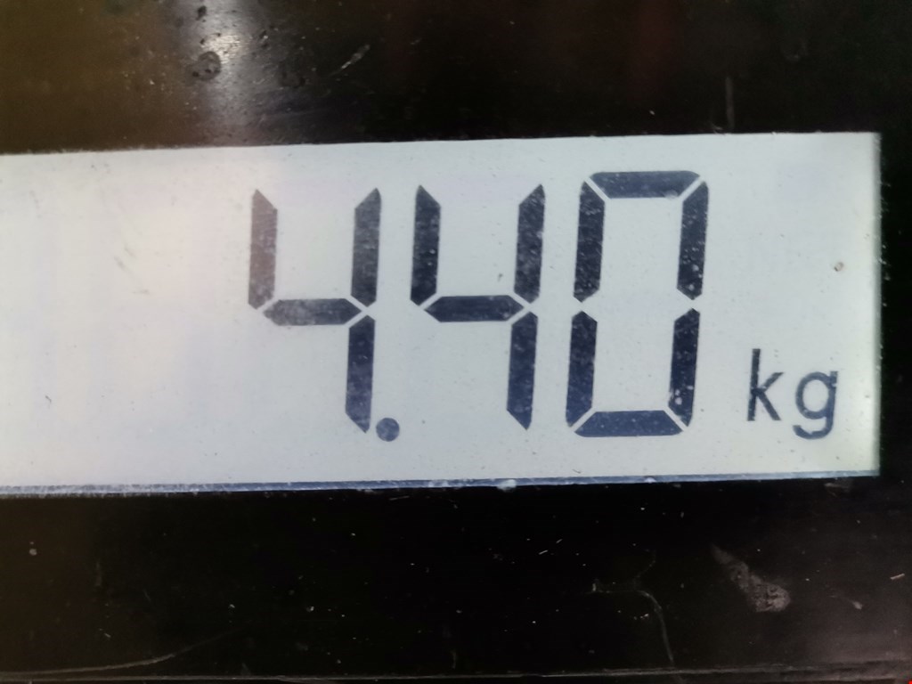 Шестерня коленвала (шкив) SSANG YONG Rodius 2004-2013