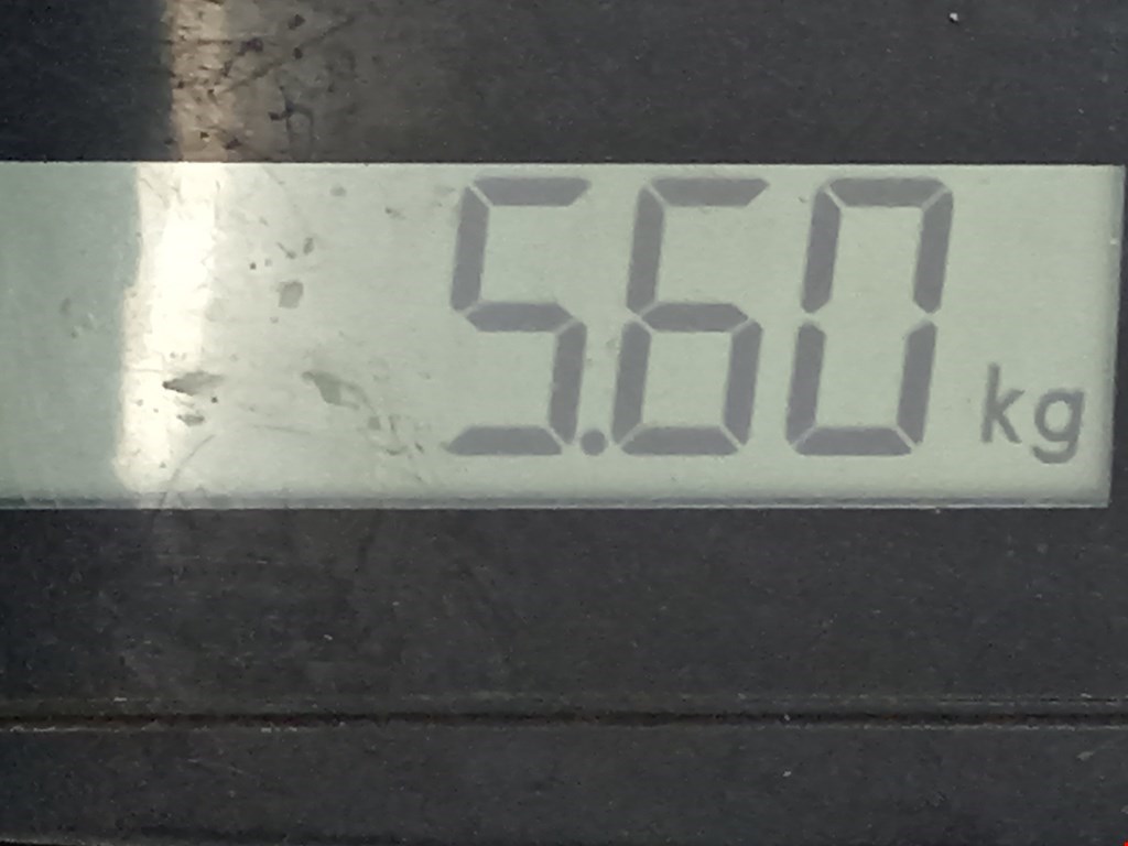 Усилитель переднего бампера (передний) VOLKSWAGEN Golf IV 1997-2003