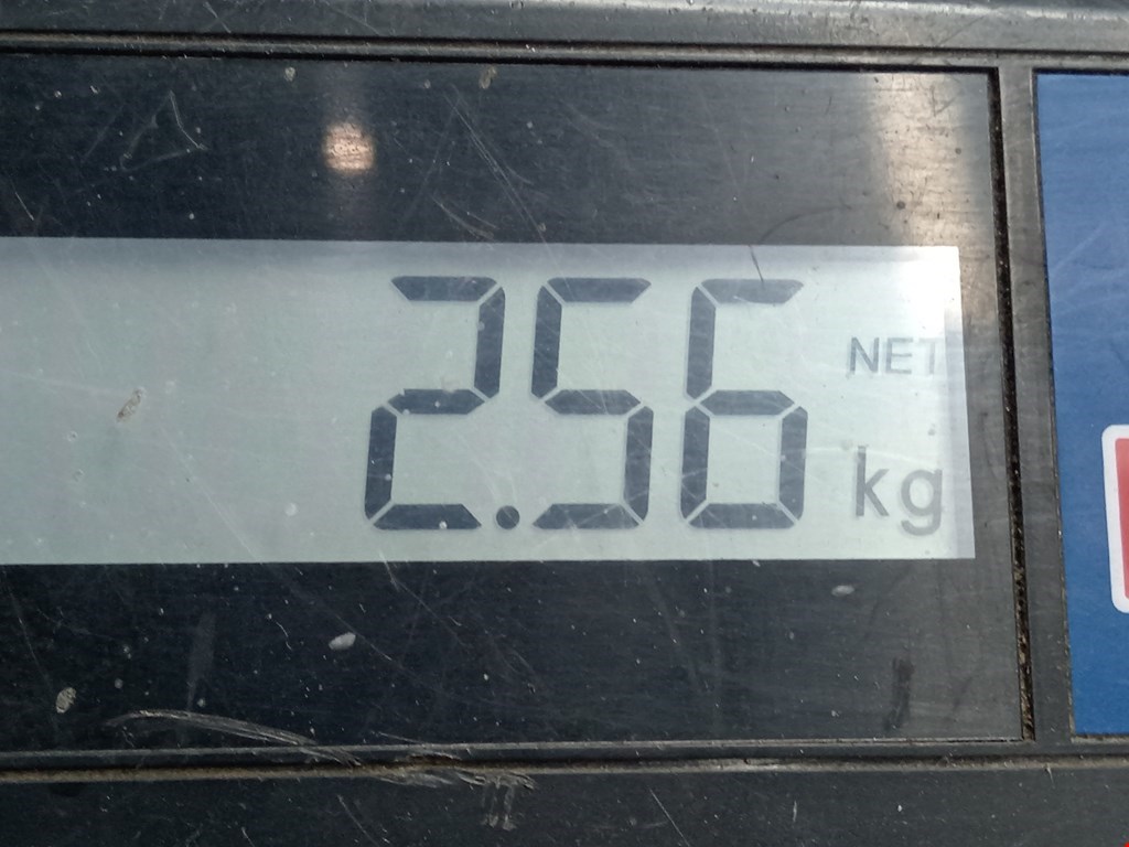 Датчик уровня в бачок омывателя MERCEDES-BENZ A-Class W169 2004-2012