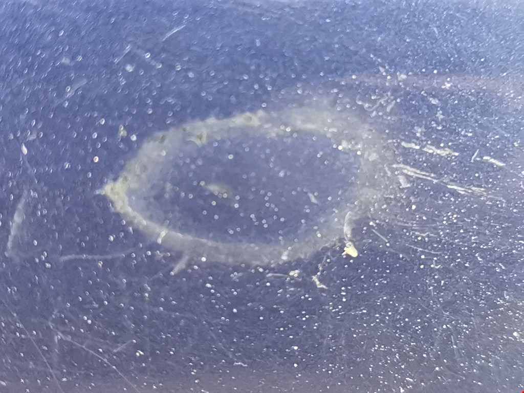 Ручка двери задней наружная левая OPEL Zafira A 1999-2005