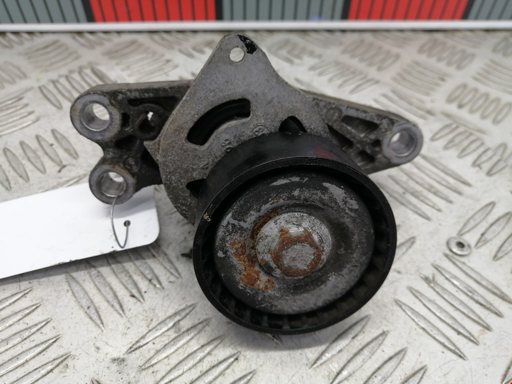 Натяжитель ремня генератора (приводного поликлинового ремня Peugeot 206 (1998-2006)