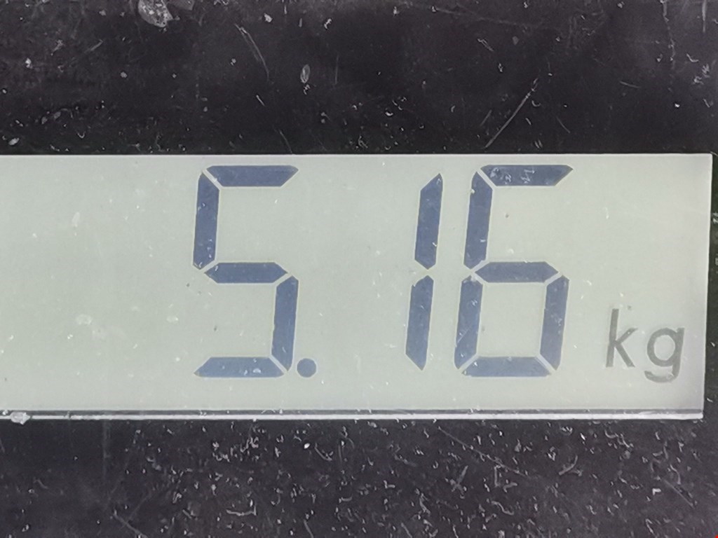 Амортизатор задний левый BMW 5er 5 серия E39 1995-2004