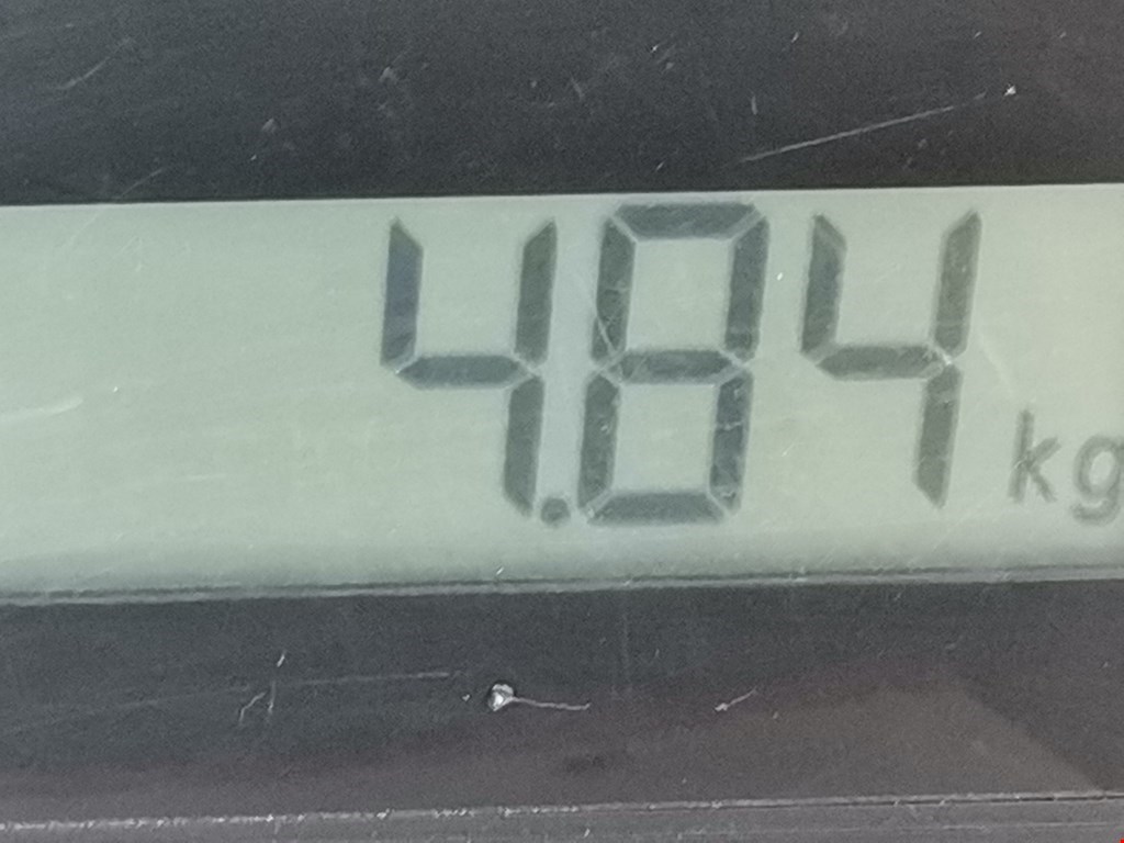 Обшивка двери передняя правая MERCEDES-BENZ R-Class W251 2005-2017