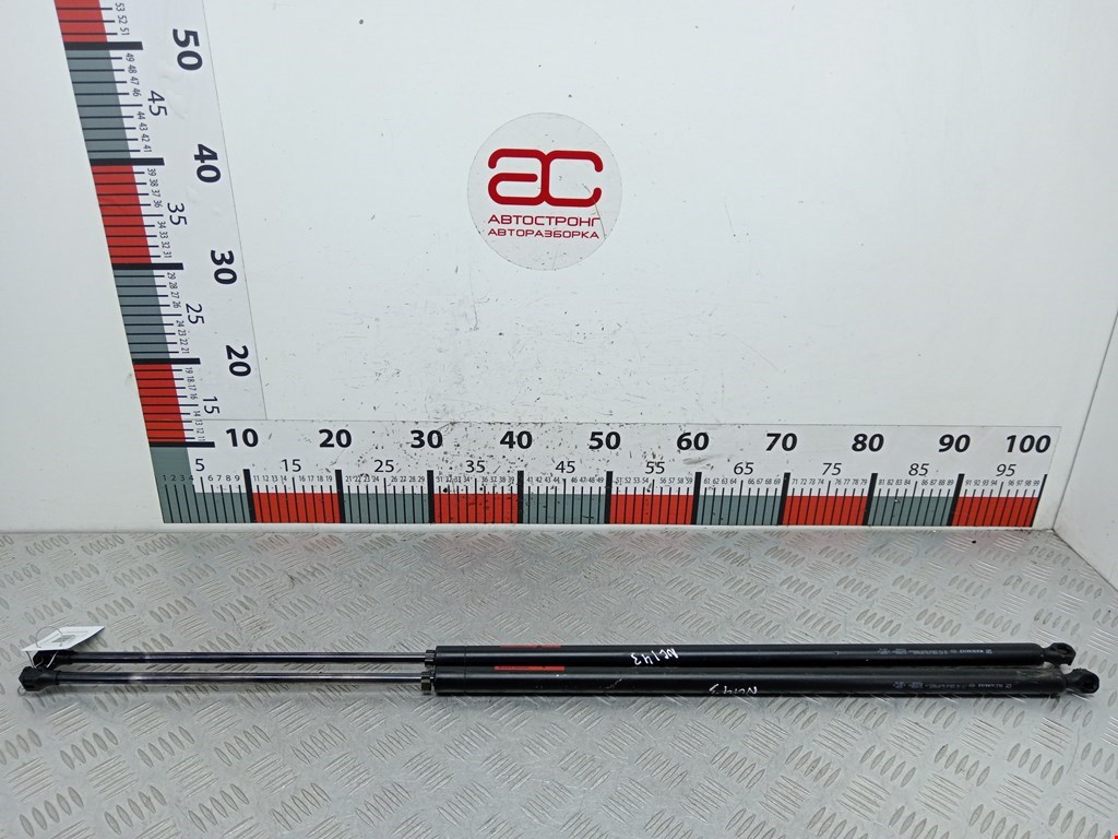 Амортизатор крышки (двери) багажника RENAULT Trafic II 2001-2014