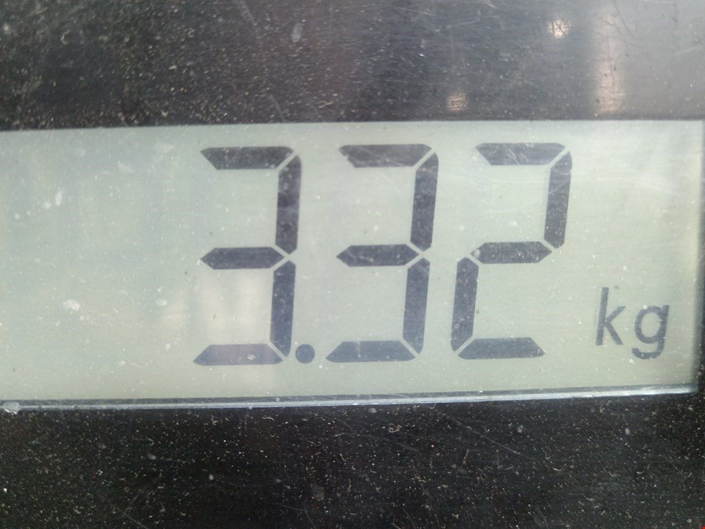 Клемма аккумулятора (плюс) + MERCEDES-BENZ S-Class IV W220 1998-2005