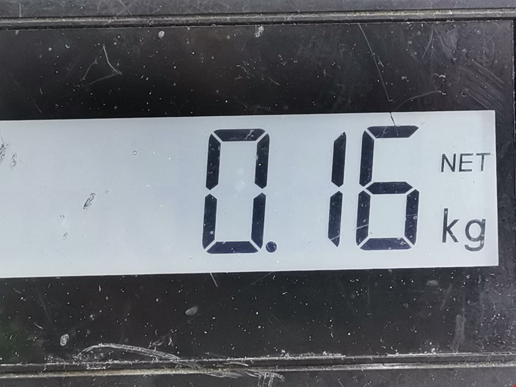 Плафон салонный (салона фонарь) VOLKSWAGEN Touran 2003-2010