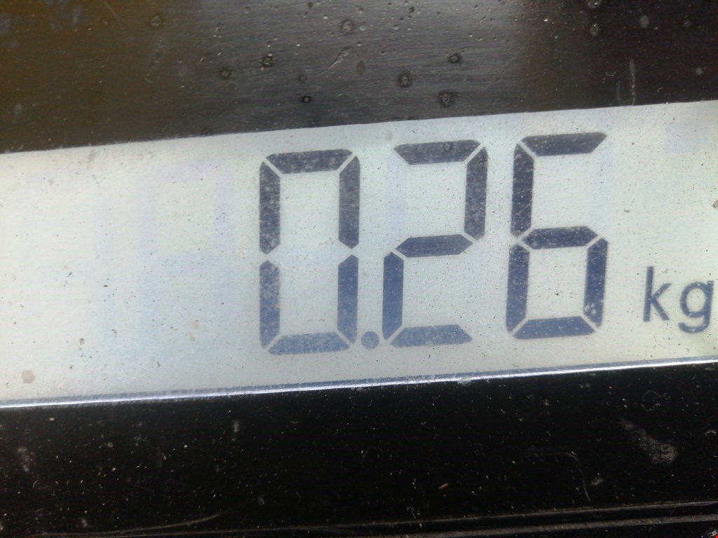 Датчик положения коленвала VOLKSWAGEN Golf V 2003-2009