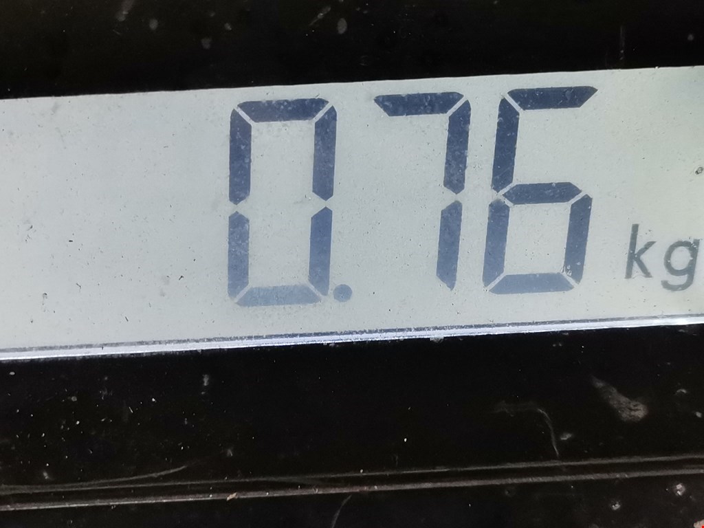 Патрубок интеркулера RENAULT Scenic II 2003-2010