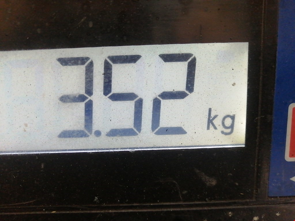 Шестерня коленвала (шкив) BMW 5er 5 серия E39 1995-2004