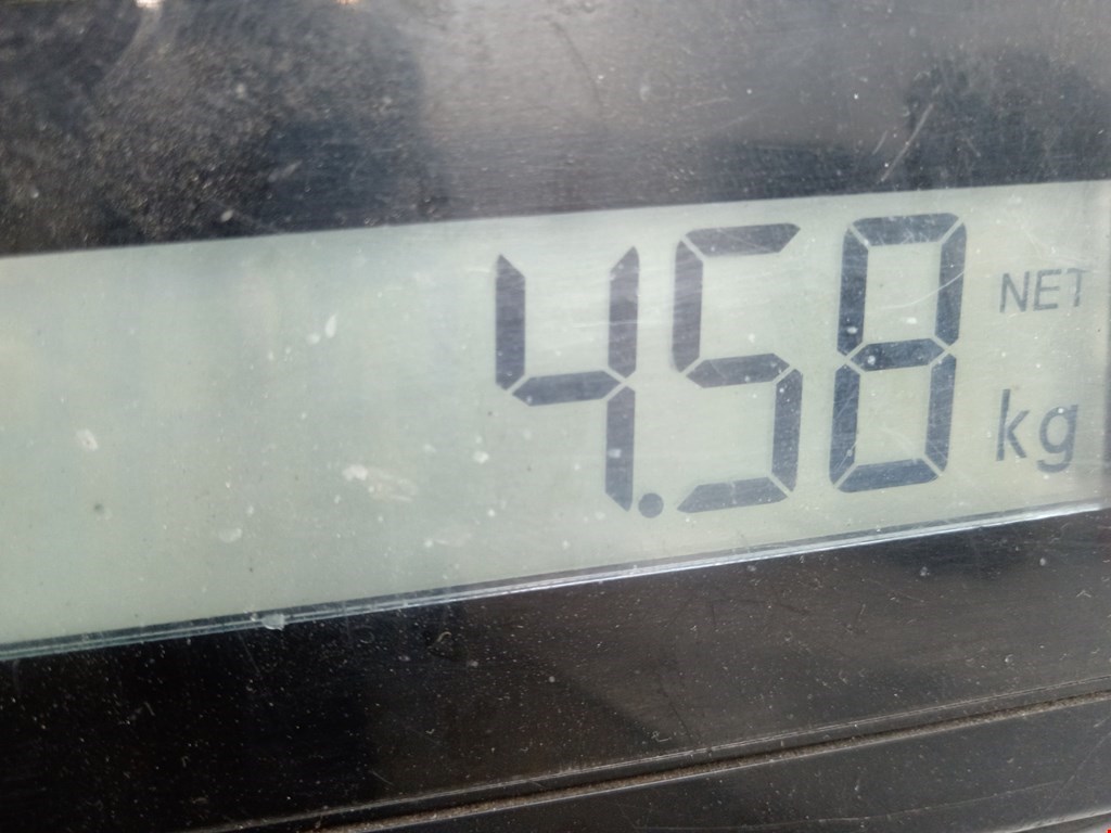 Пружина передняя левая/правая AUDI A4 B5 1995-2001