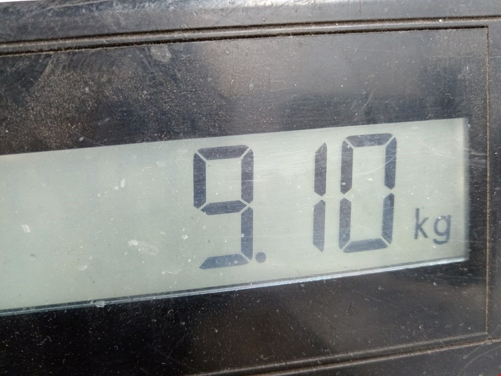 Ступица передняя левая MERCEDES-BENZ S-Class IV W220 1998-2005