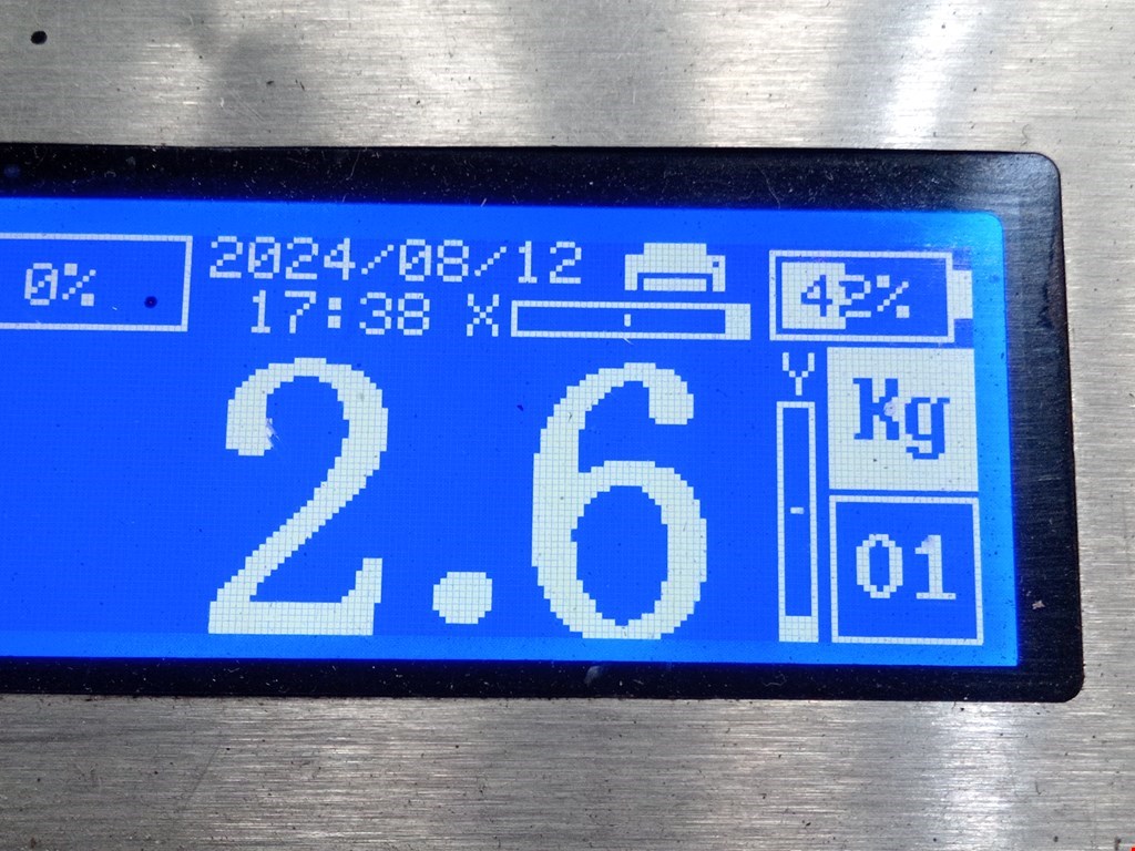 Защита антигравийная MERCEDES-BENZ S-Class IV W220 1998-2005