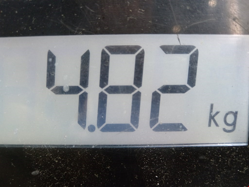 Ступица задняя левая RENAULT Scenic II 2003-2010