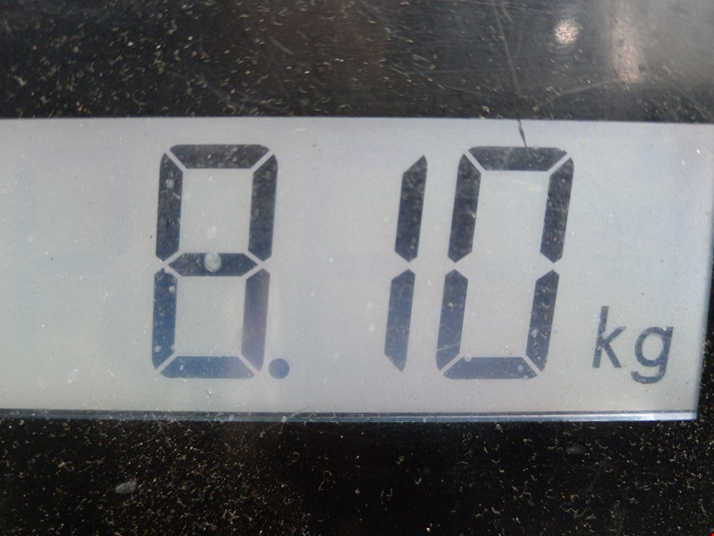 Амортизатор передний левый PEUGEOT 206 1998-2012