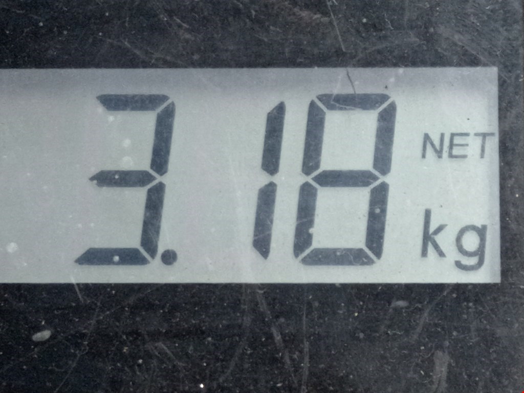 Суппорт передний правый VOLKSWAGEN Golf IV 1997-2003