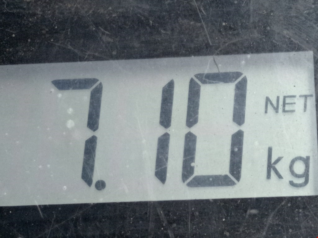 Амортизатор передний правый RENAULT Scenic II 2003-2010