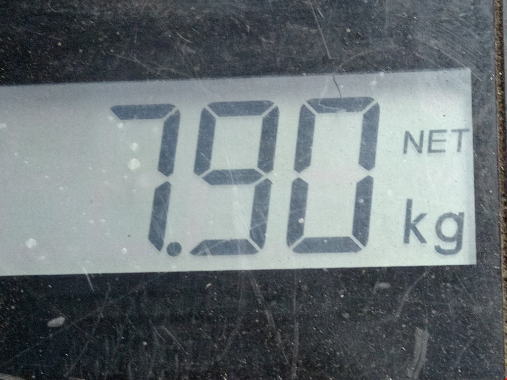 Амортизатор передний левый CITROEN Berlingo 2008-н.в.