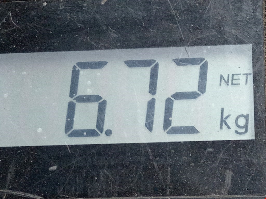 Амортизатор передний левый RENAULT Megane II 2002-2009