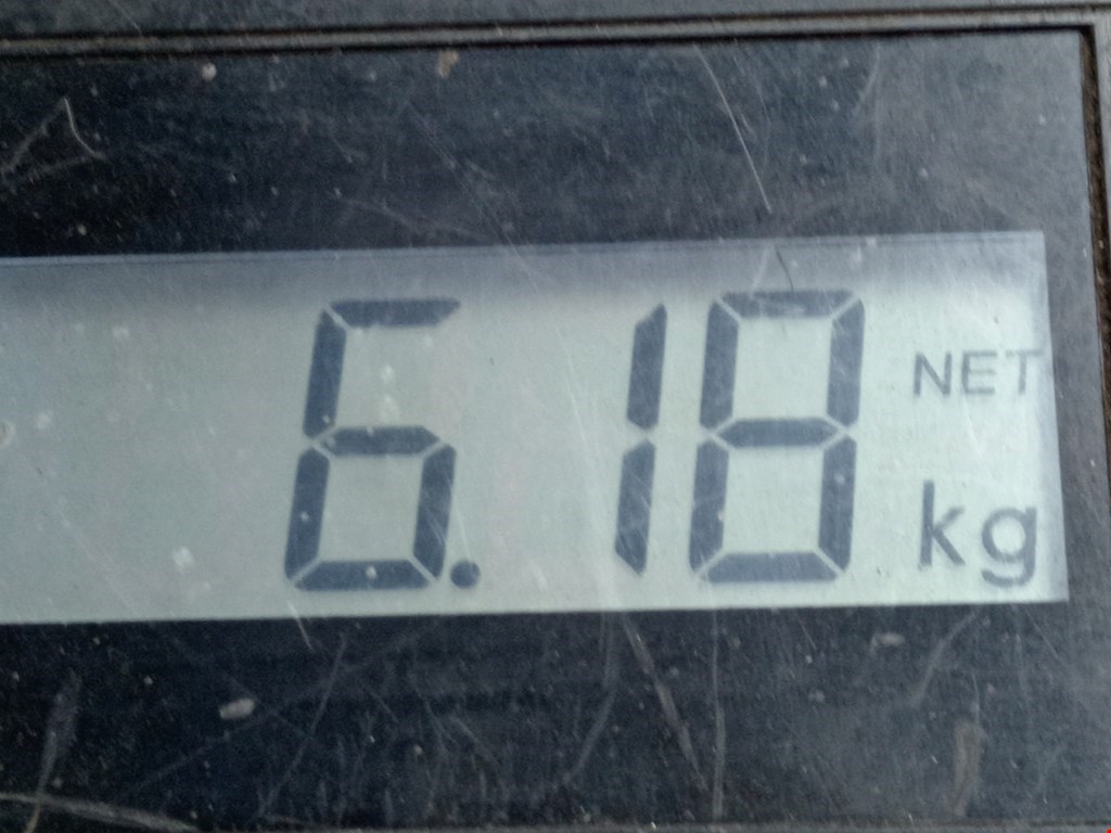 Амортизатор передний левый VOLKSWAGEN Passat B6 2005-2011