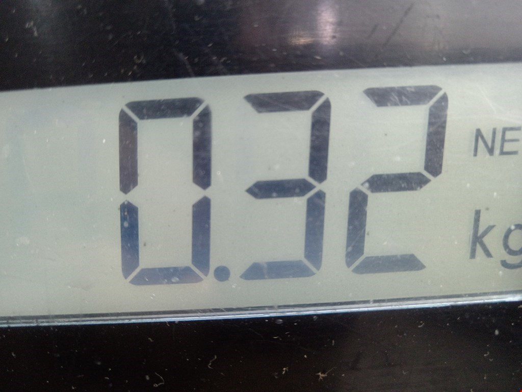 Сигнал звуковой (гудок клаксон) AUDI A3 8L 1996-2003