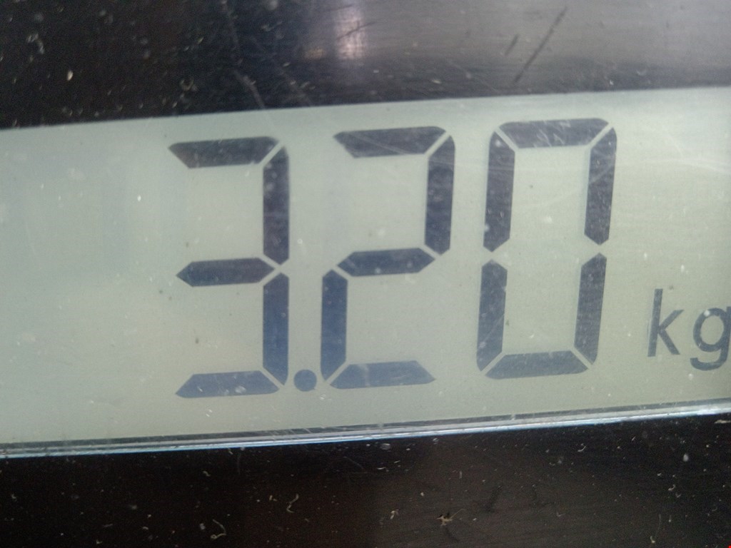 Подушка безопасности пассажирская (в торпедо) MAZDA Mazda 2 DY 2003-2007