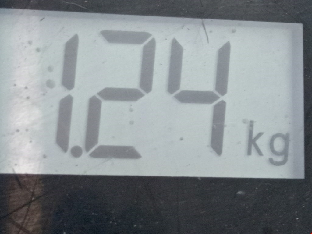 Амортизатор задний левый=правый RENAULT Kangoo 1997-2008