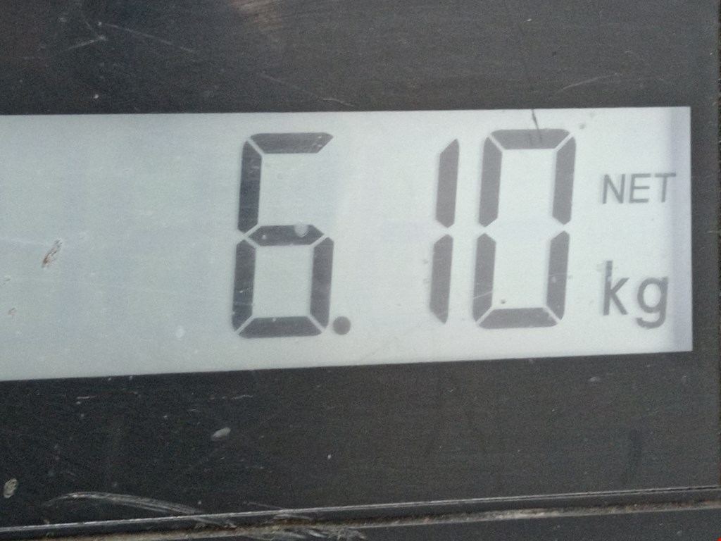 Ступица передняя левая CITROEN C4 Grand Picasso 2006-2013