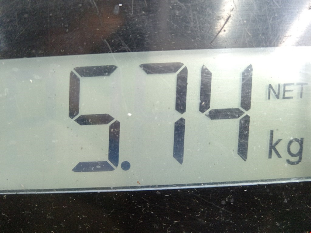 Ступица передняя левая OPEL Omega B 1994-2004