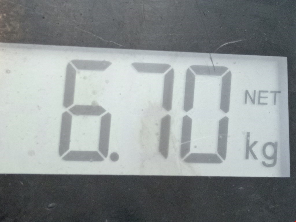 Амортизатор передний правый RENAULT Megane II 2002-2009