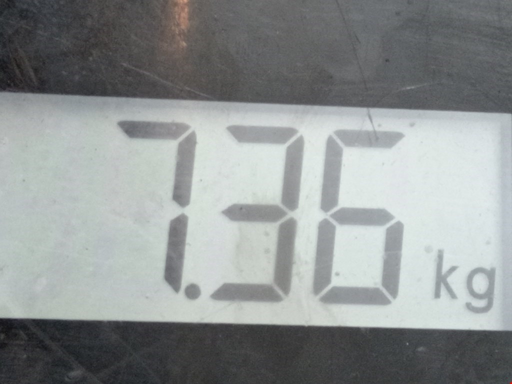 Диск тормозной передний RENAULT Scenic II 2003-2010