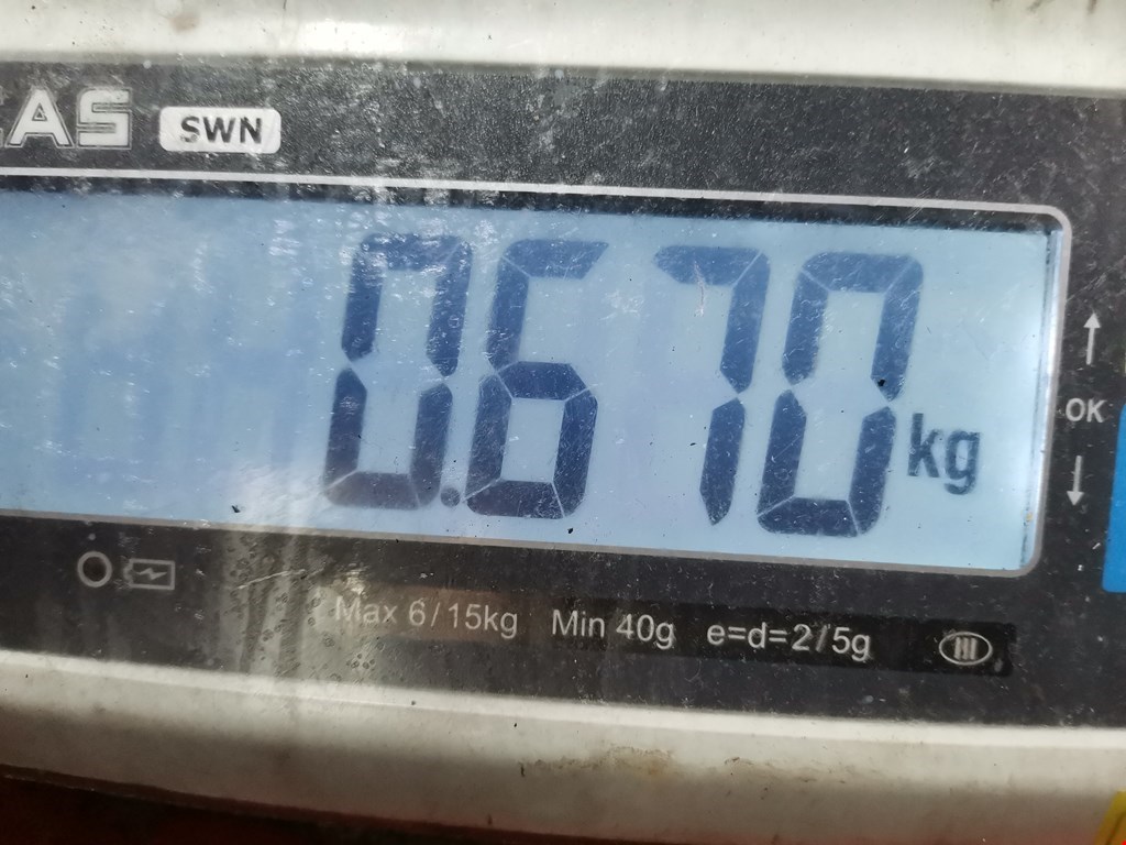 Насос водяной (помпа) MAZDA MPV LW 1999-2006