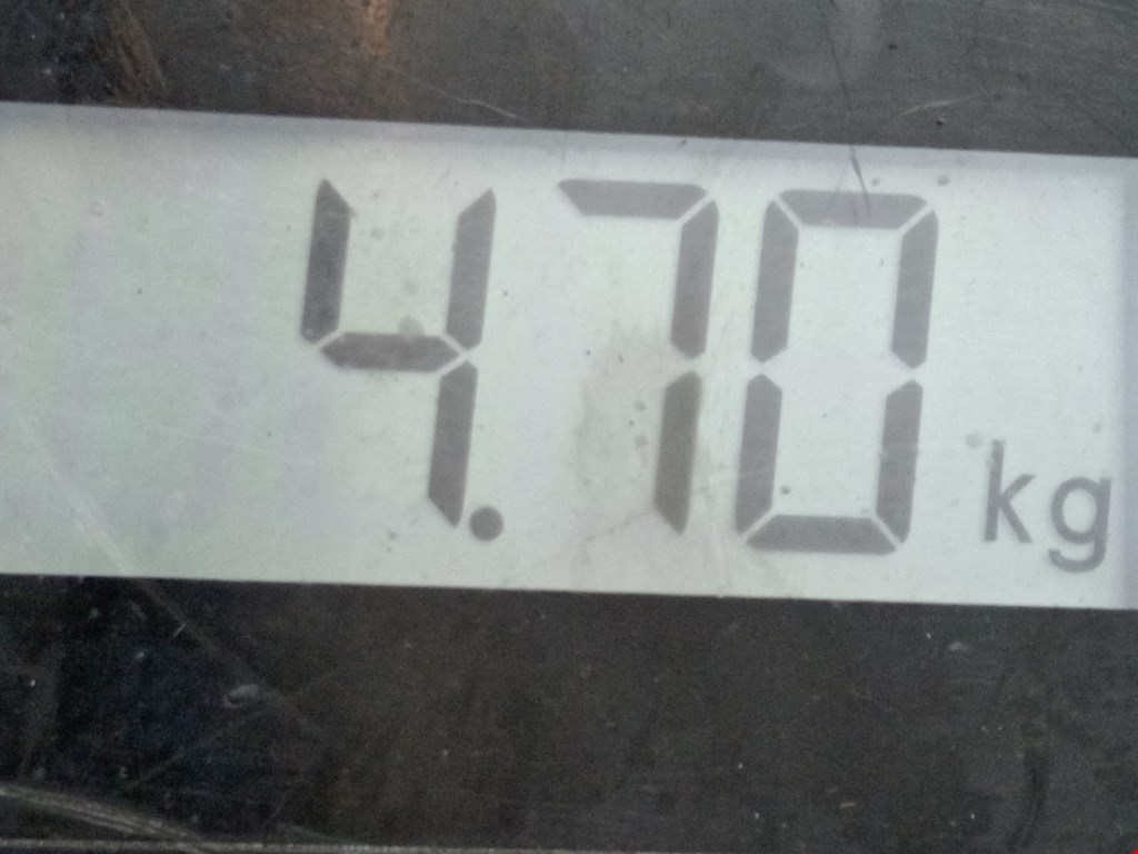 Суппорт передний левый RENAULT Megane II 2002-2009