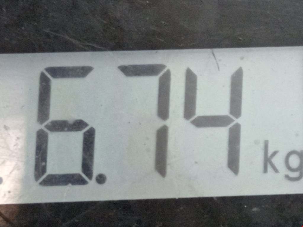 Диск тормозной передний RENAULT Scenic II 2003-2010