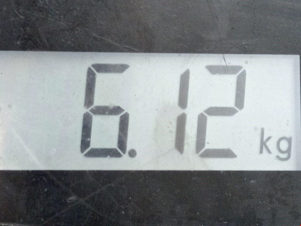 Диск тормозной передний RENAULT Scenic II 2003-2010