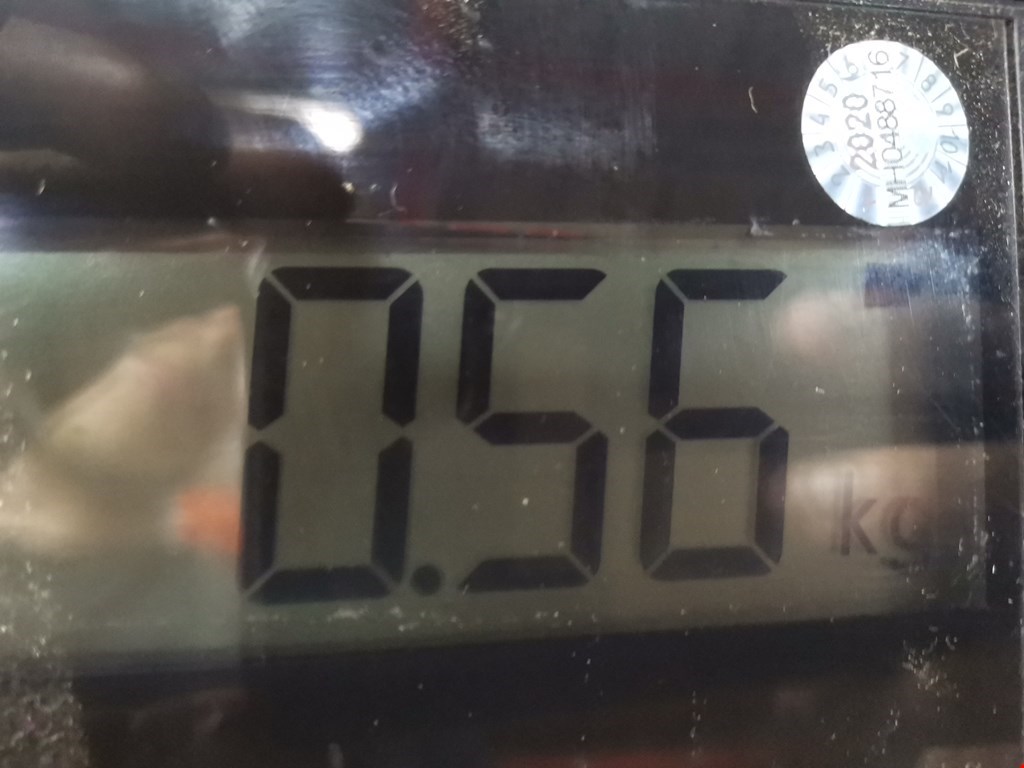 Корпус масляного фильтра SKODA Fabia MK1 1999-2006